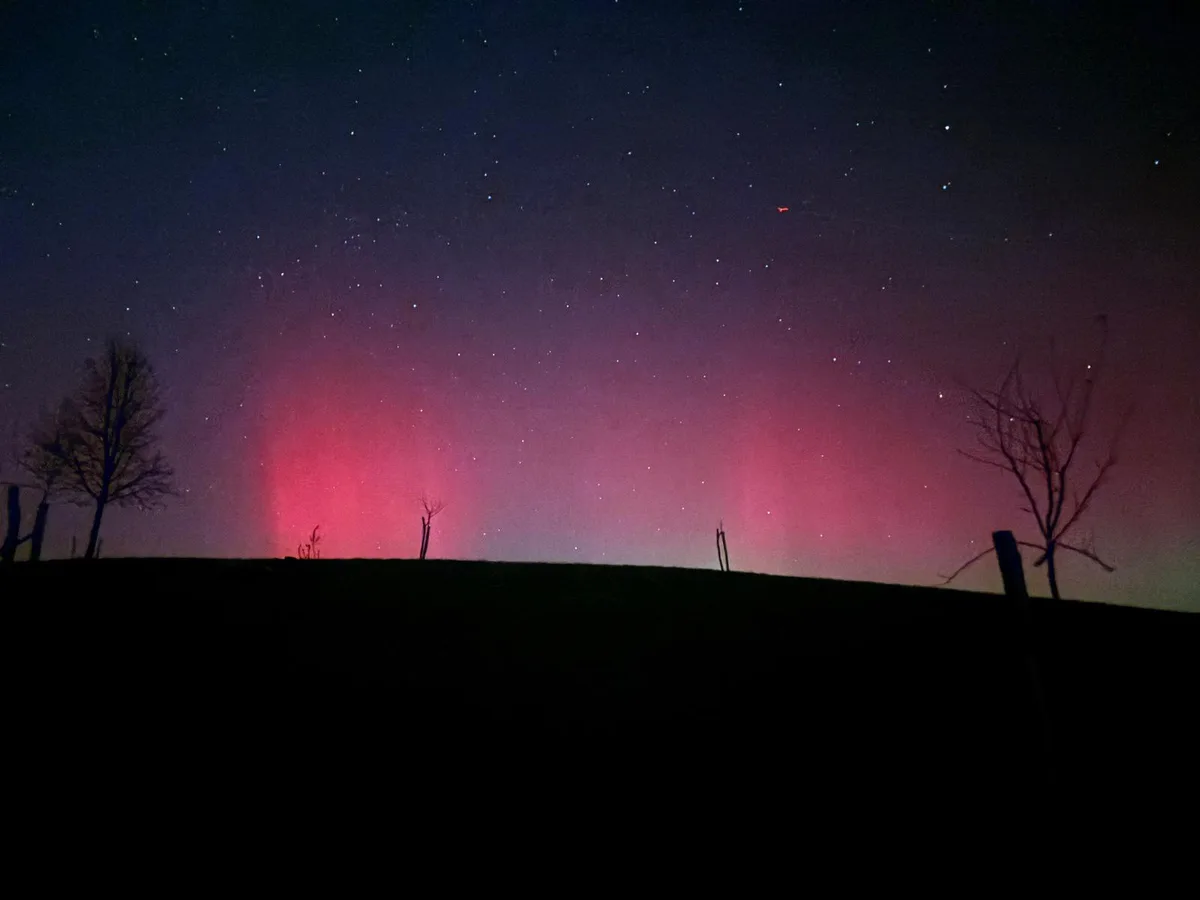 Man sieht grüne, violette und pinke Polarlichter am dunklen Nachthimmel.